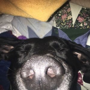 Meet your Posher, Robin